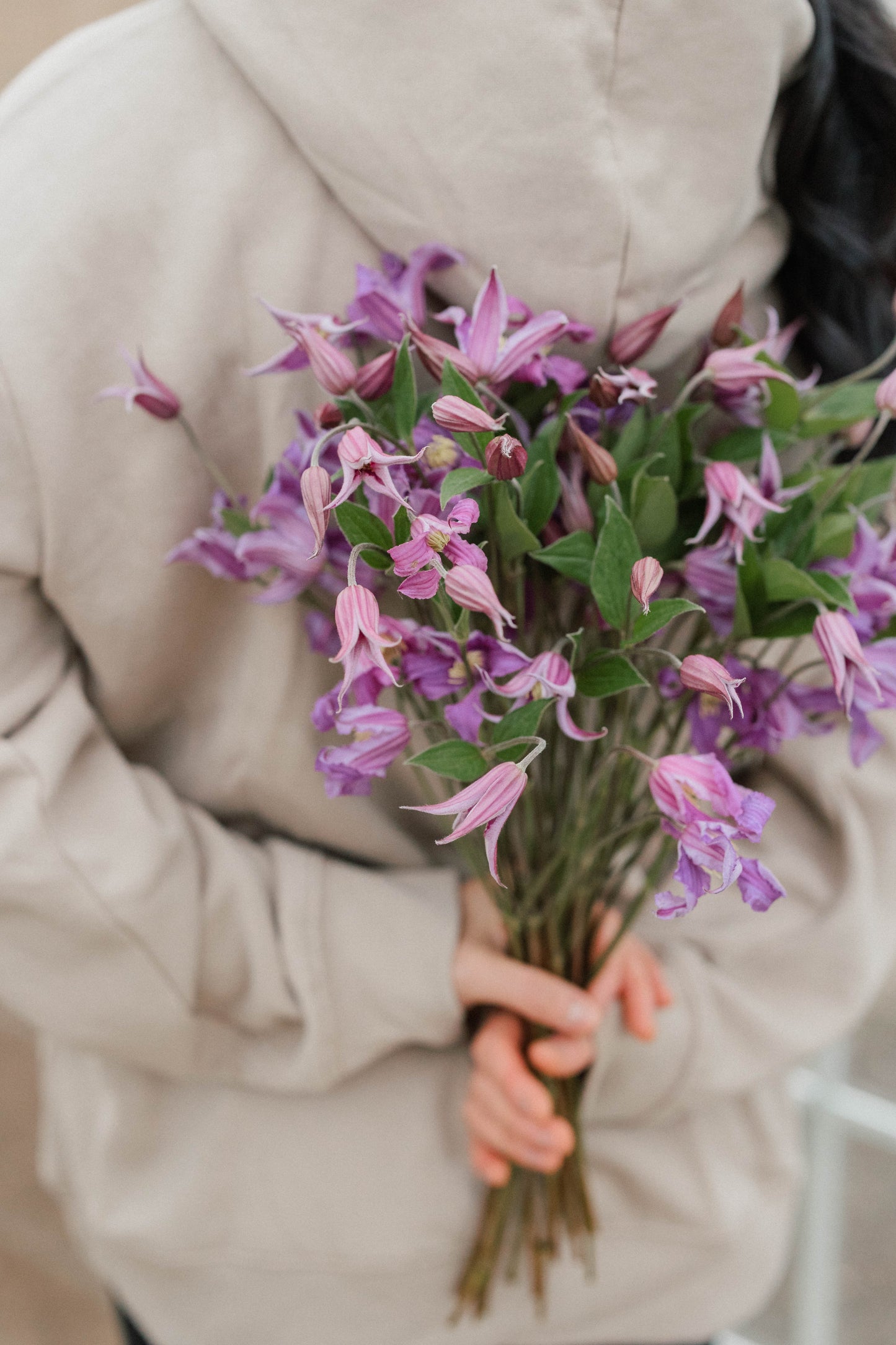 Bulk Clematis