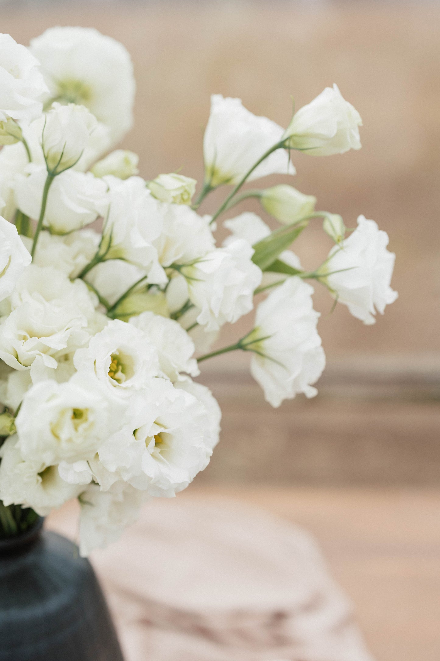 Bulk Lisianthus