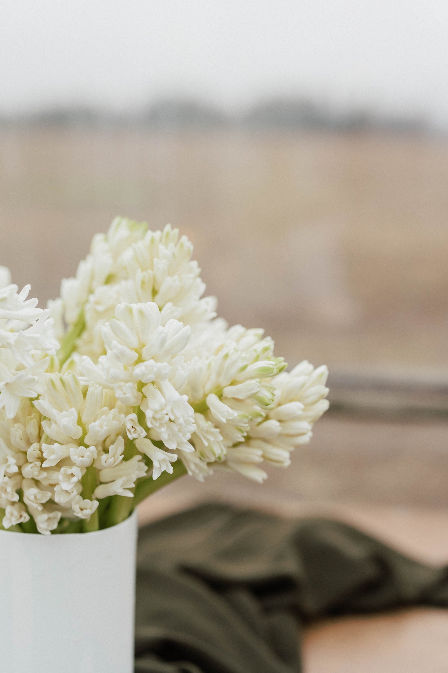 Bulk Hyacinth