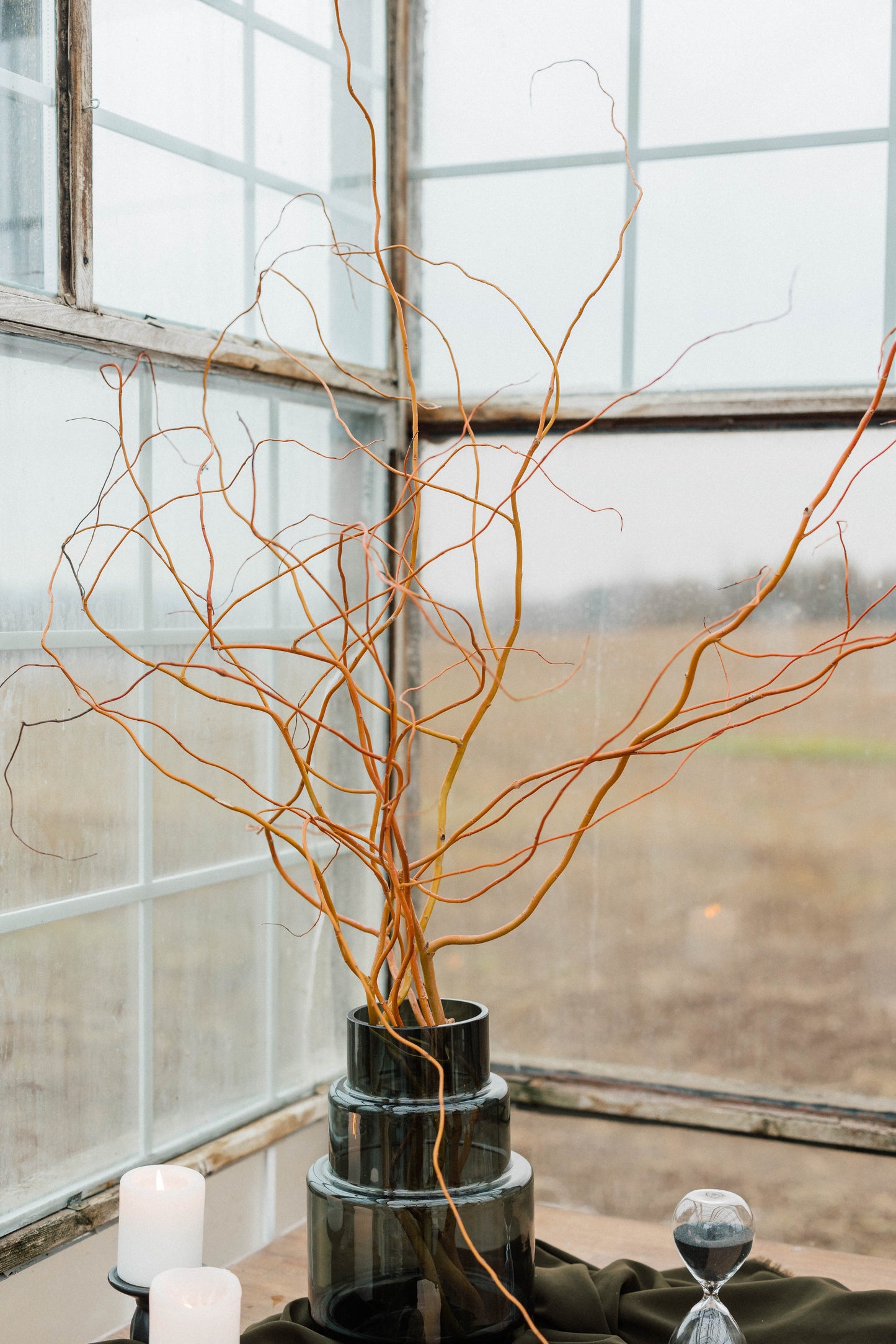 Bulk Curly Willow Branches