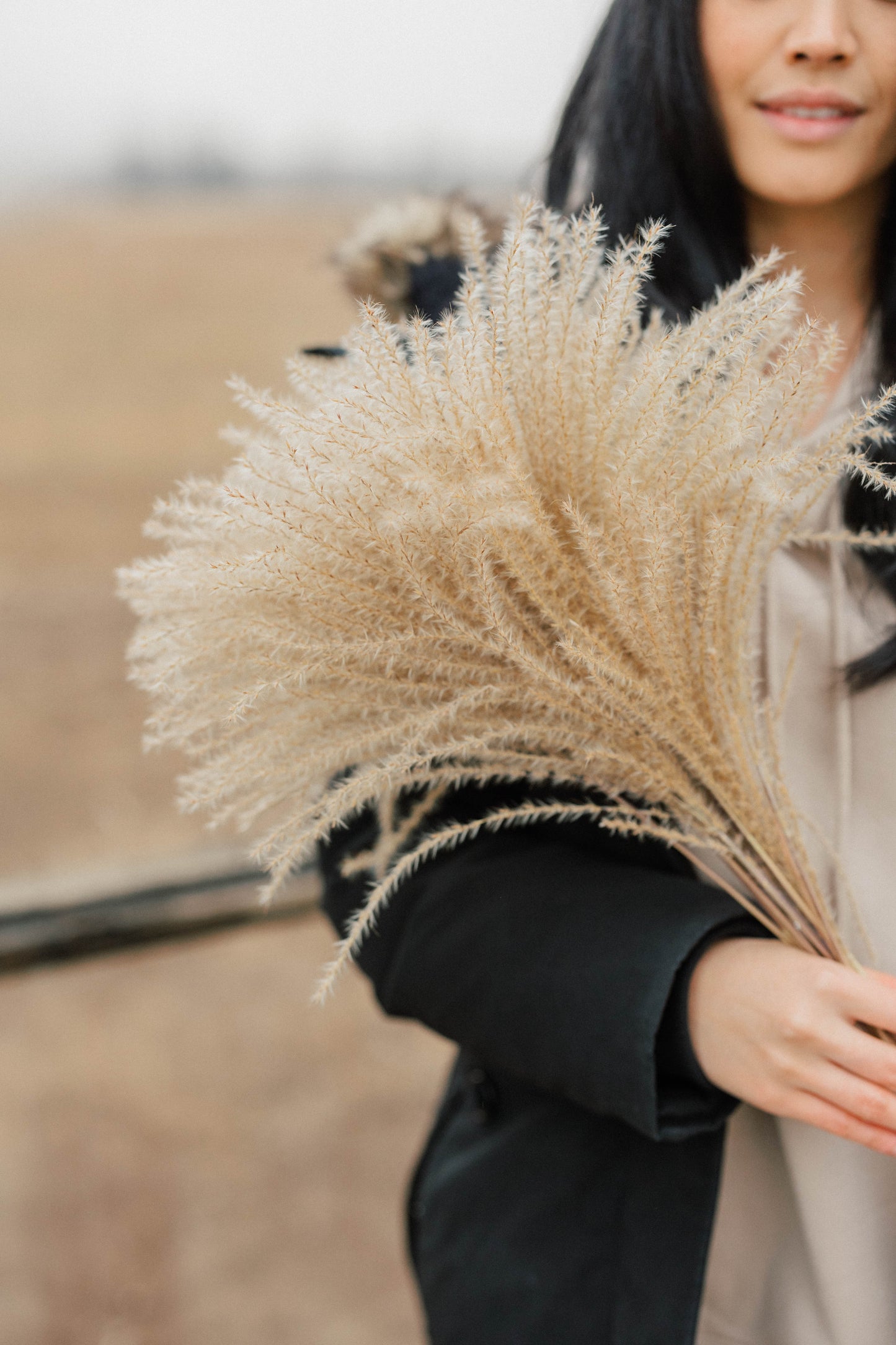 Bulk Ornamental Grass