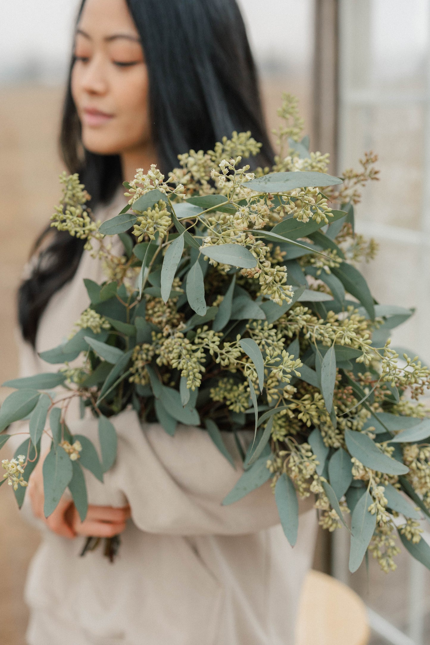Bulk Seeded Eucalyptus