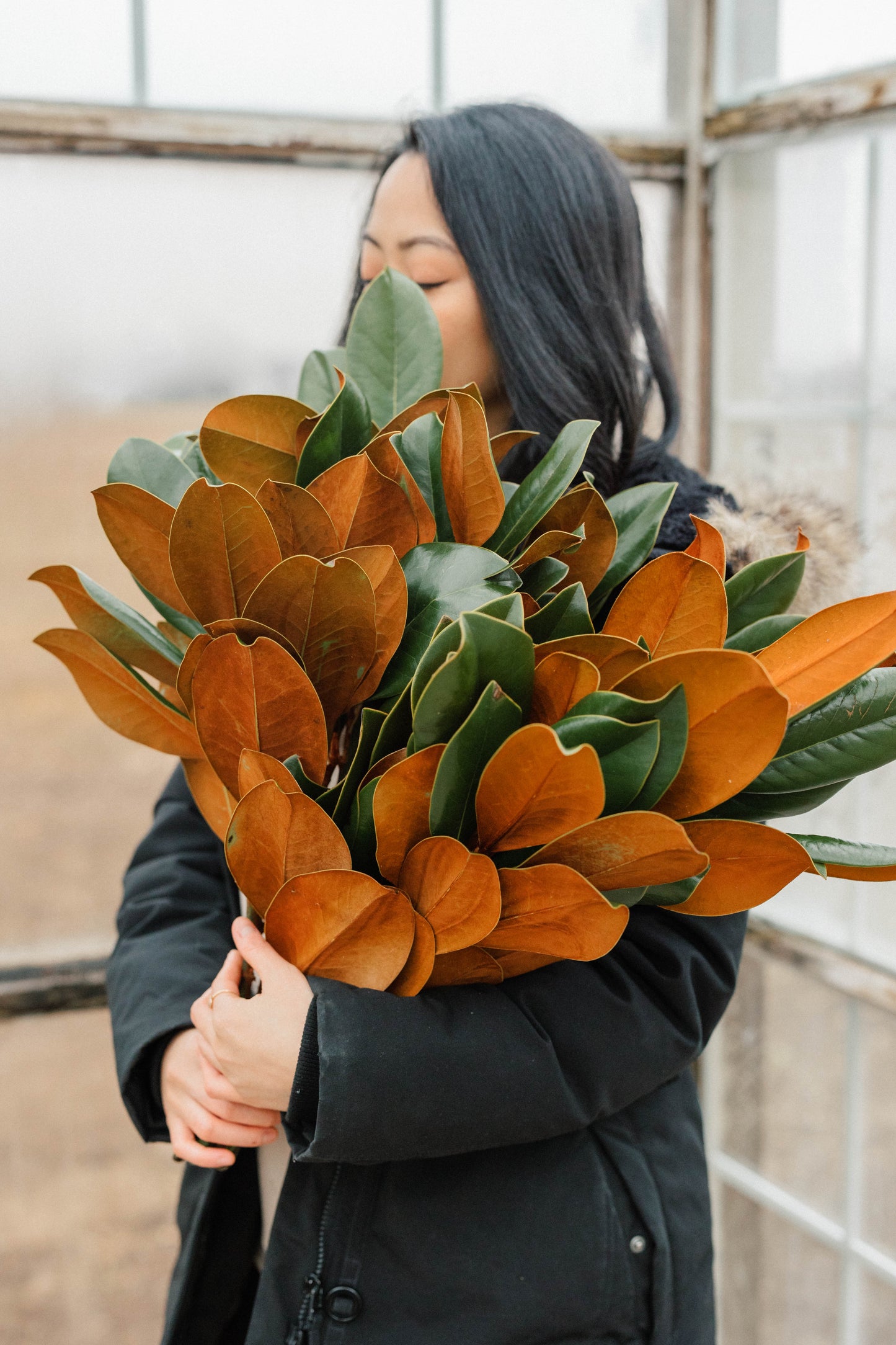 Bulk Magnolia