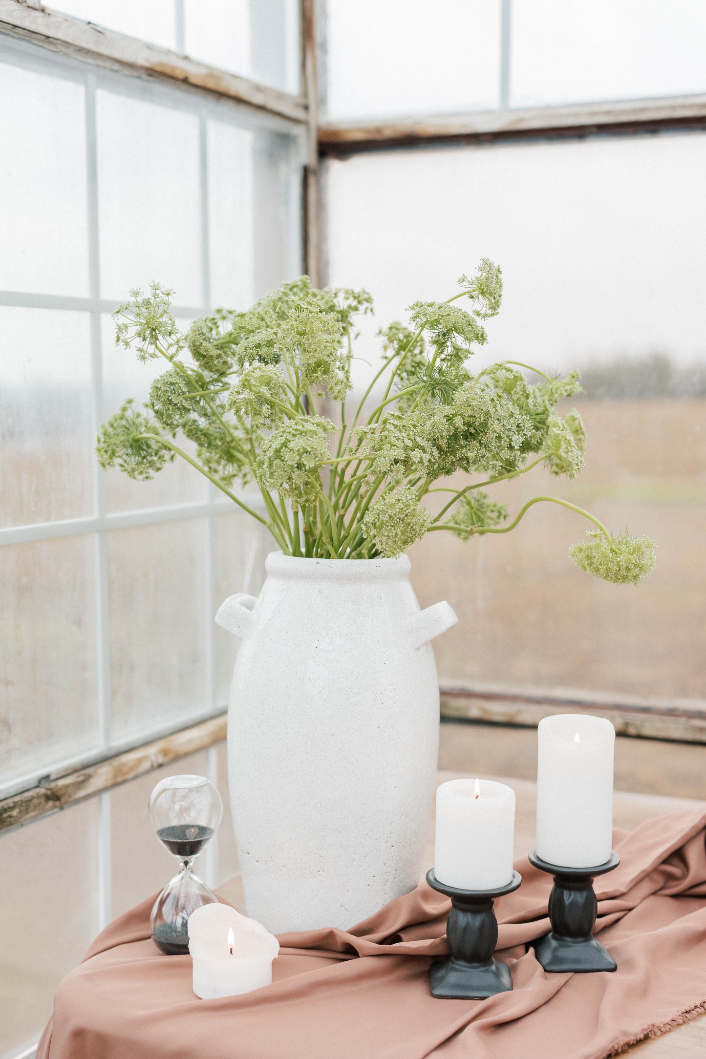 Bulk Queen Anne's Lace