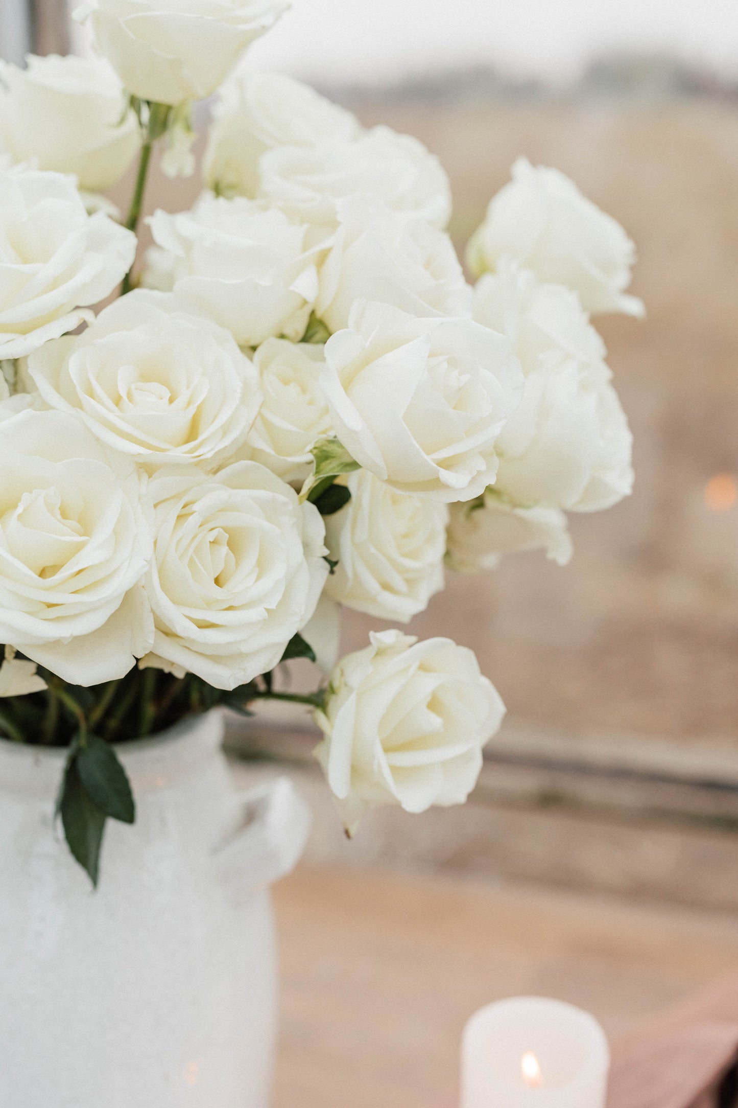 Bulk Roses
