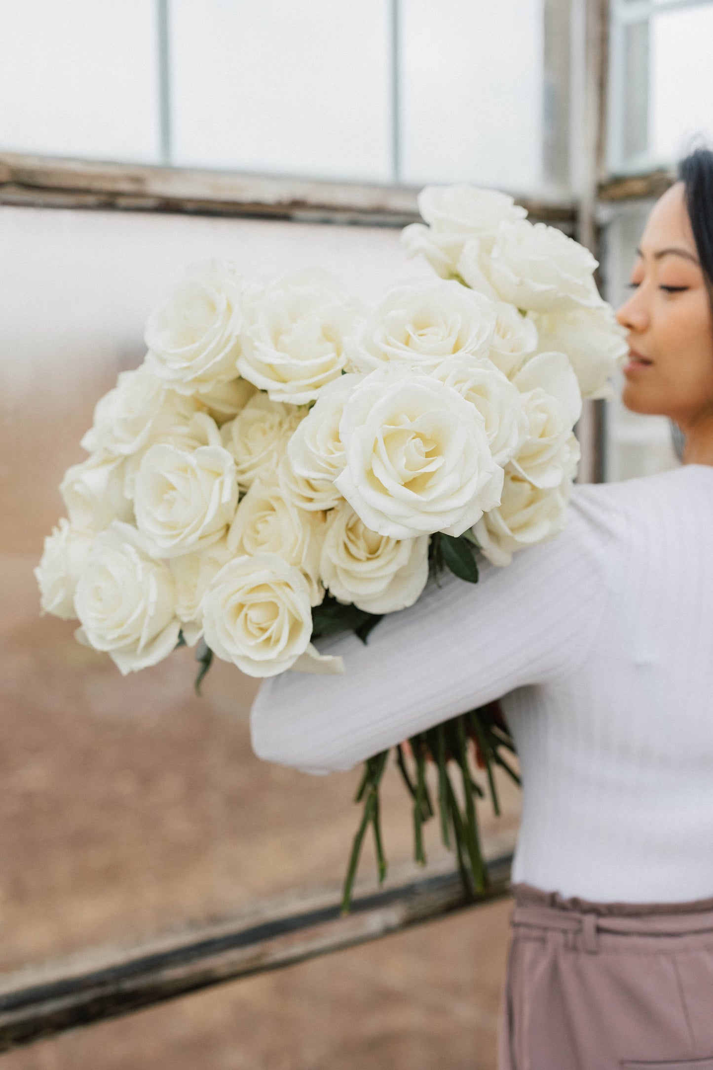 Bulk Roses