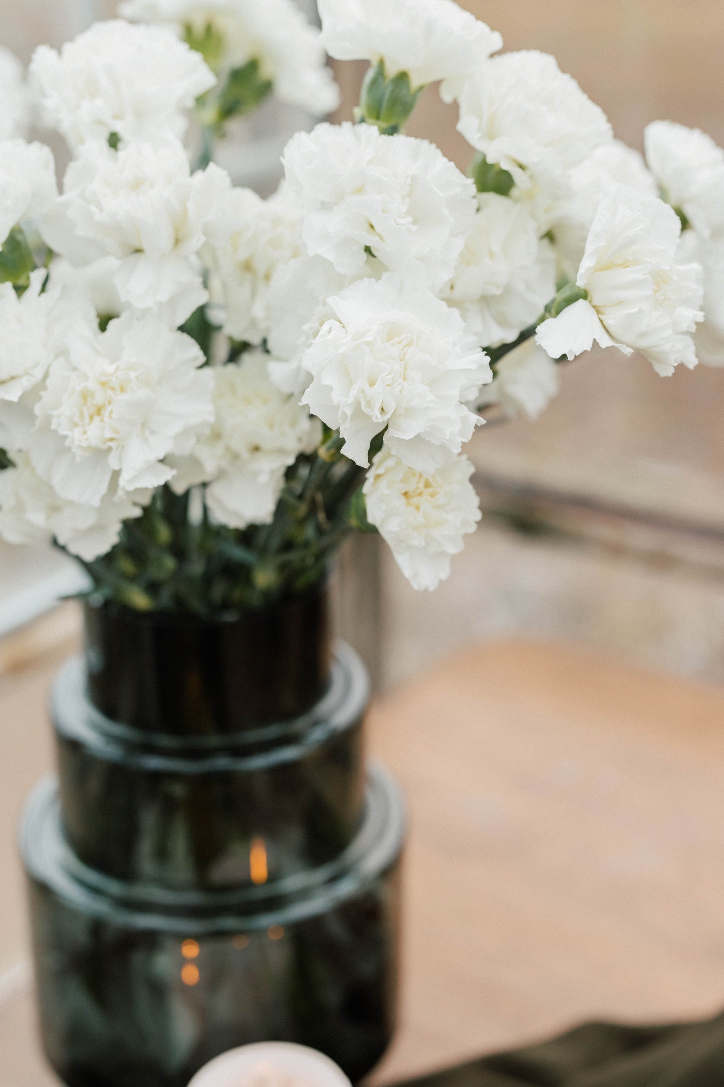 Bulk Carnations