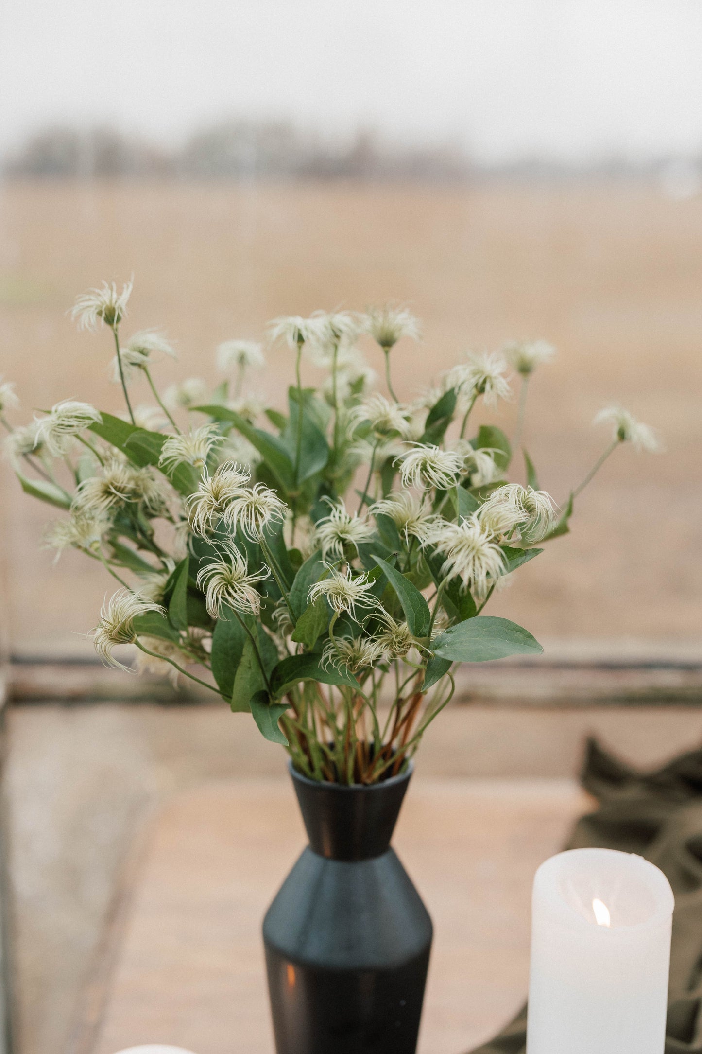 Bulk Clematis Wig