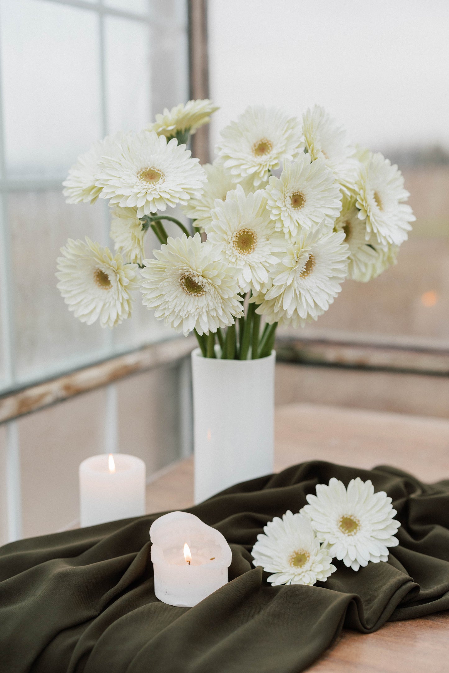 Bulk Gerbera Daisies